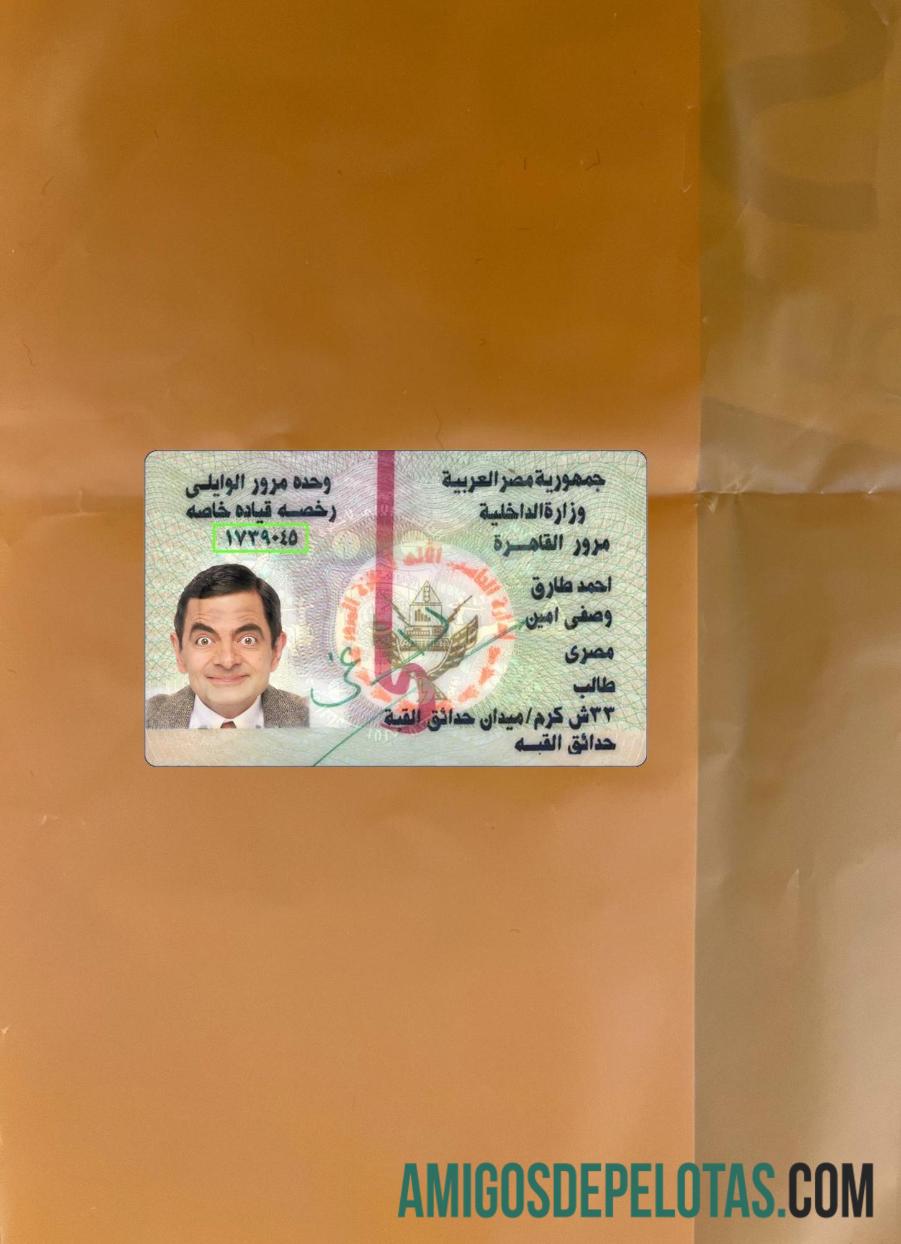 Egypt ID Version 2 olhar de foto frente exemplo